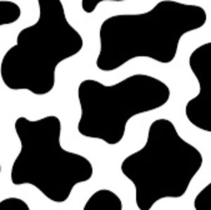 Meet your Posher, Judy